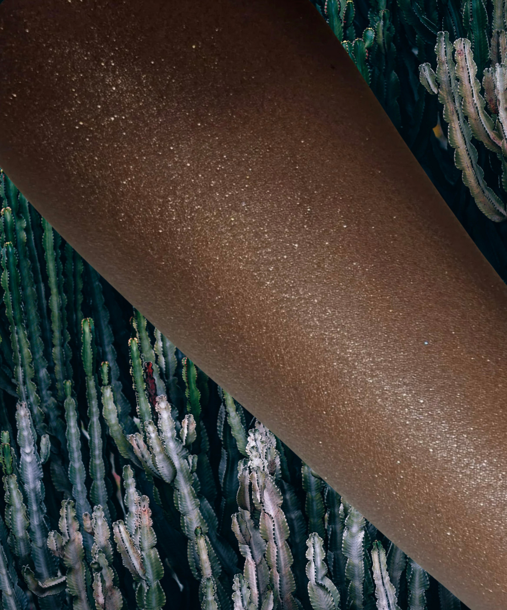 Honey Gold Shimmer Dry Oil Face and Body Spray Honey Gold Shimmer 