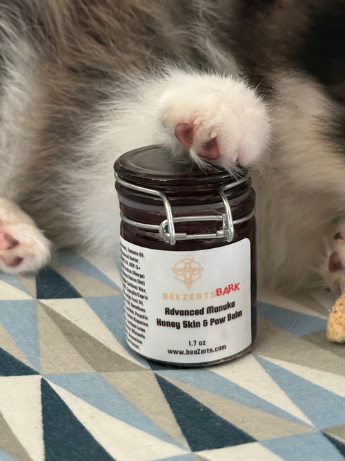 Advanced Manuka Honey Skin & Paw Balm