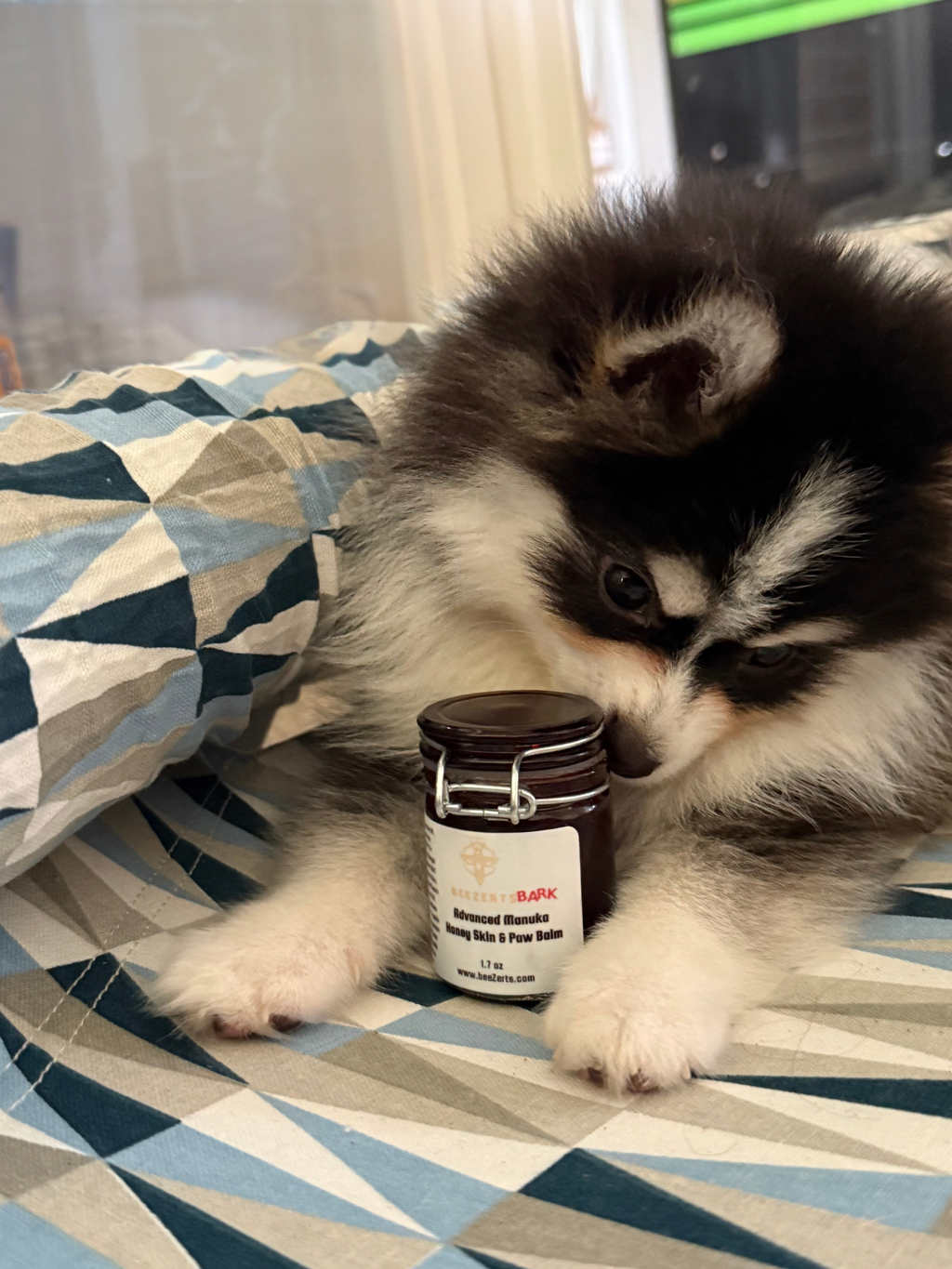 Advanced Manuka Honey Skin & Paw Balm